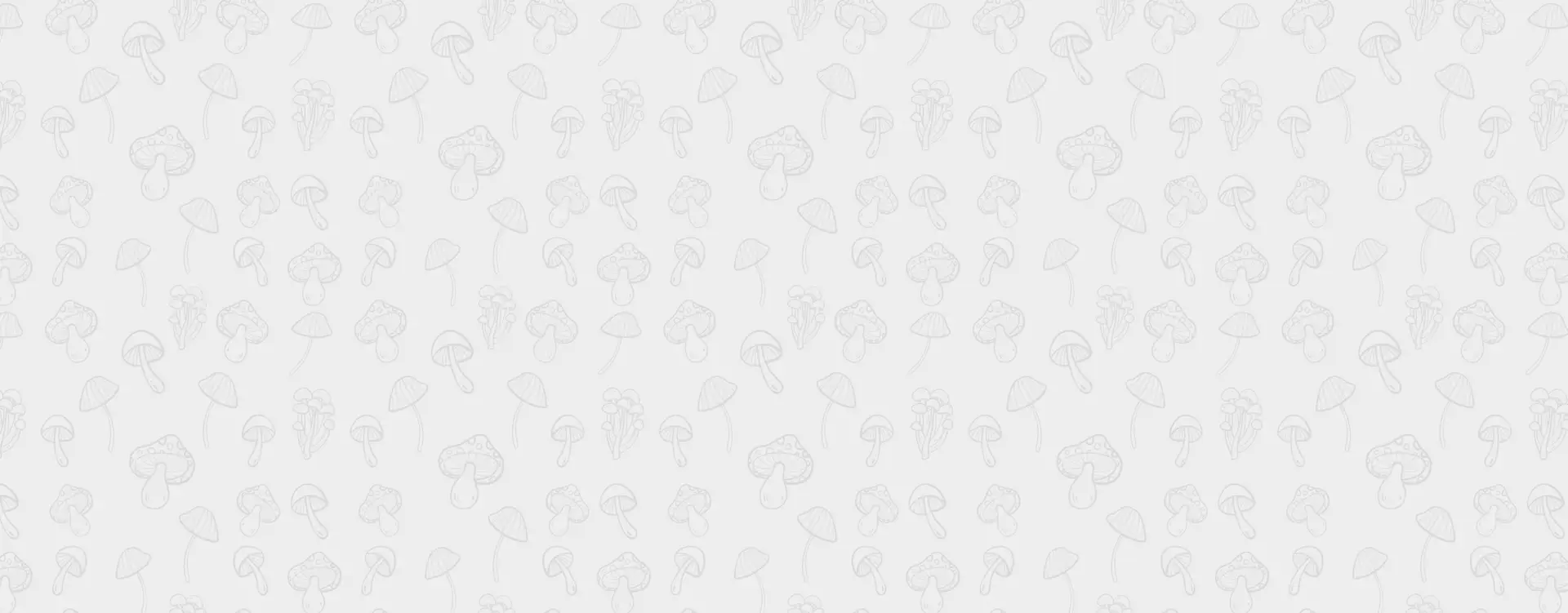 magic mushrooms bestellen